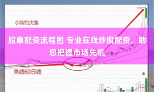 股票配资流程图 专业在线炒股配资,助您把握市场先机